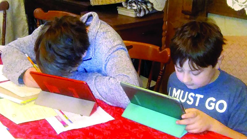 Virtual Academies: A Potential Option for the Future